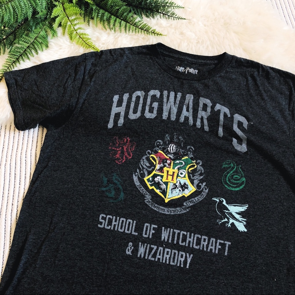 Hogwarts Harry Potter Houses Graphic Tee